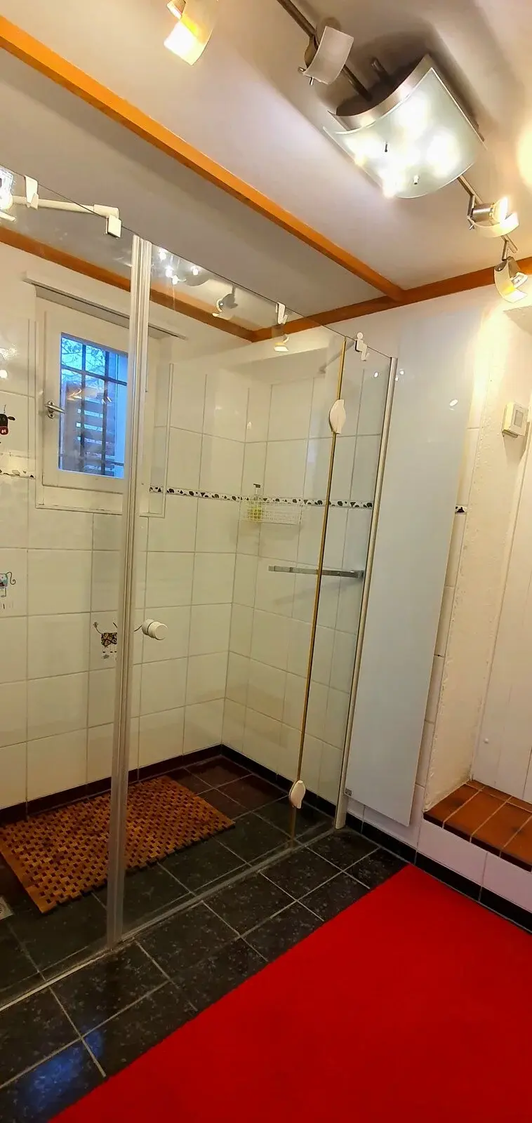 Shower with glass door